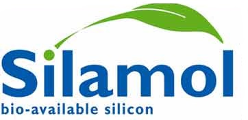 Silamol Device mark 3382936 Trademark