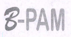 B-pam Device mark 3376617 Trademark