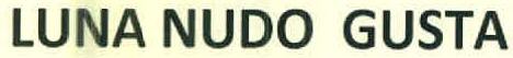Luna Nudo Gusta Device mark 3376480 Trademark