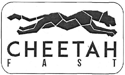 Cheetah Fast Device mark 3375145 Trademark