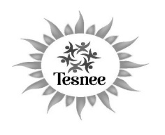Tesnee Device mark 3749616 Trademark