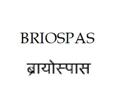 Briospas (in English And Hindi) Device mark 3747375 Trademark