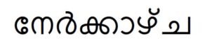 Nerkkazcha Word Mark Device mark 4186315 Trademark