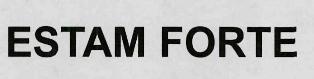 Estam Forte Device mark 3353231 Trademark