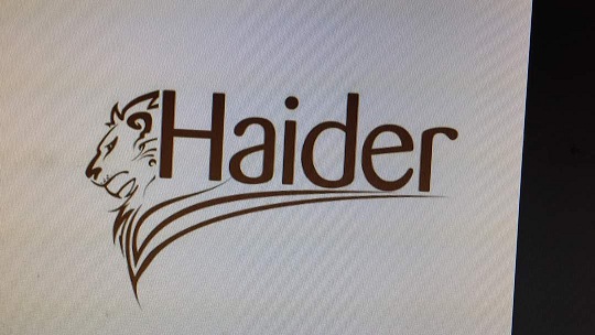 Haider Device mark 3619893 Trademark