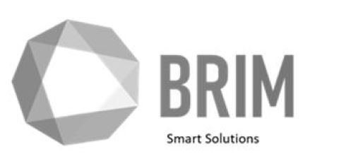 Brim Smart Solutions Device mark 4190772 Trademark