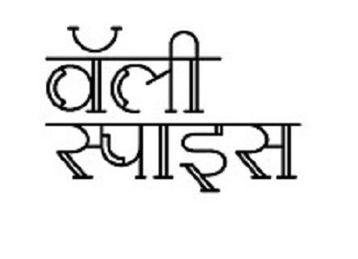 Valley Spice Device mark 4190861 Trademark