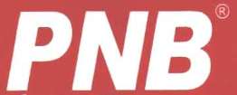 Pnb Device mark 3741223 Trademark