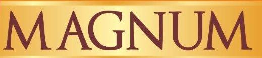 Magnum Device mark 4194670 Trademark