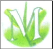 M (monogram) Device mark 3597039 Trademark