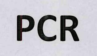 Pcr Device mark 3338533 Trademark