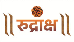Rudraksha Device mark 3737754 Trademark