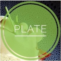 Plate With Device Device mark 4202367 Trademark