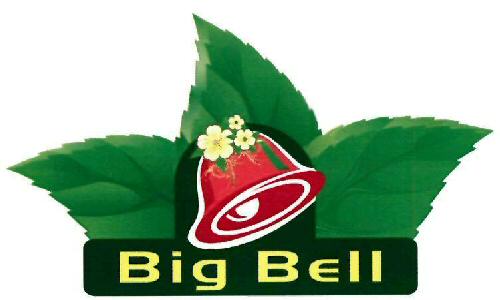 Big Bell Device mark 4201702 Trademark