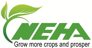 Neha Device mark 3582645 Trademark