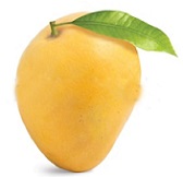 Device Of Mango Device mark 4204594 Trademark