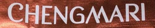 Chengmari Device mark 4204734 Trademark