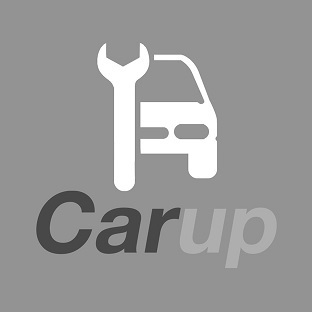 Carup Device mark 4205139 Trademark