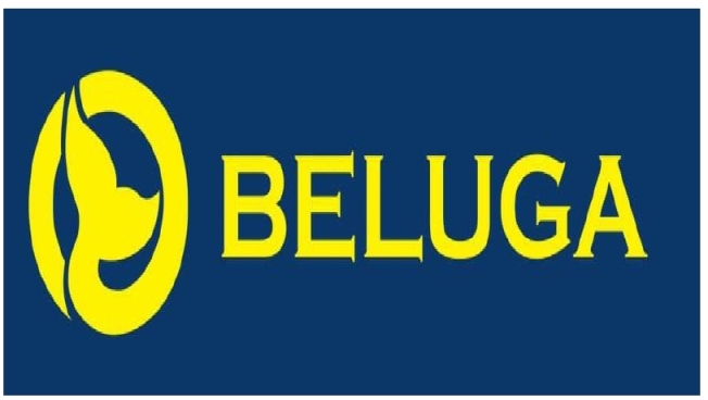 Beluga Device mark 4208207 Trademark