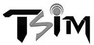 Tsim Device mark 4208691 Trademark