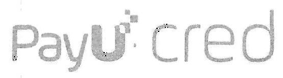 Pay U Cred Device mark 3269865 Trademark