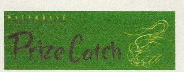 Prize Catch Device mark 3263606 Trademark