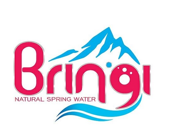 Bringi Device mark 3262165 Trademark