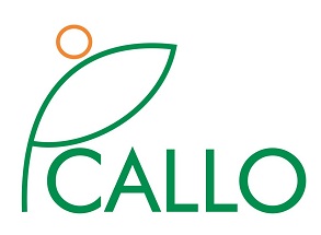 Callo Device mark 3254999 Trademark