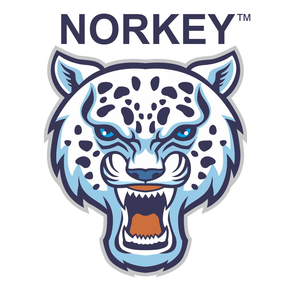 Norkey Device mark 3250275 Trademark