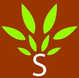 S Logo Device mark 3247802 Trademark