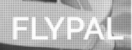 Flypal Device mark 4210123 Trademark