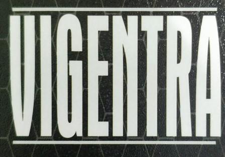 Vigentra Device mark 4212473 Trademark