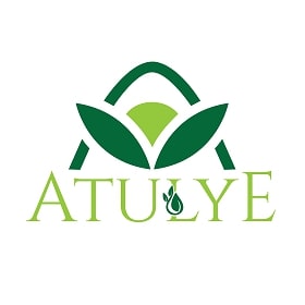 Atulye Device mark 4212860 Trademark