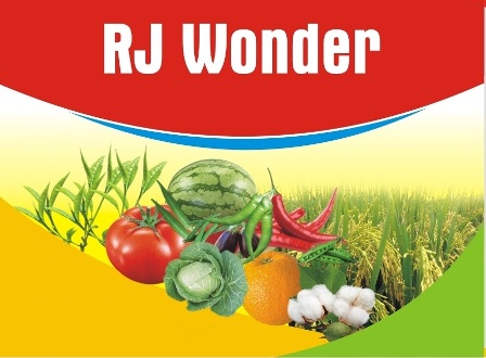 Rj Wonder Device mark 3500495 Trademark