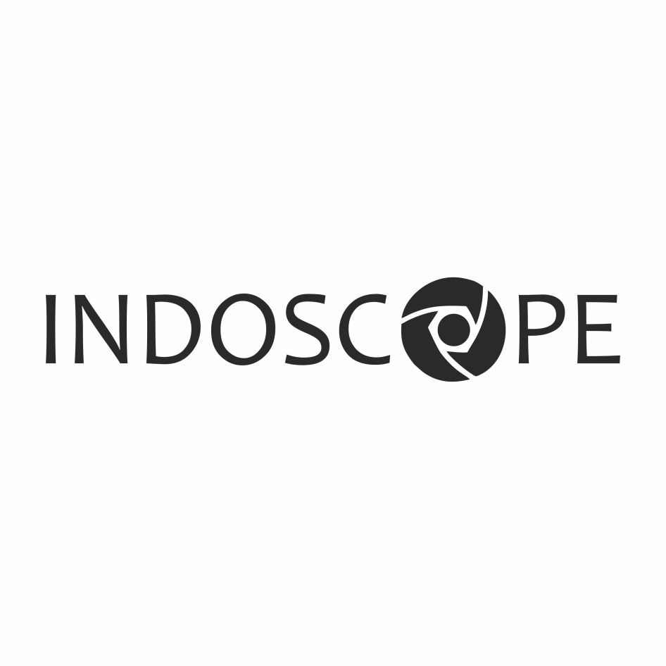 Indoscope Device mark 3731687 Trademark