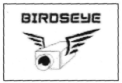 Birdseye Device mark 3498371 Trademark