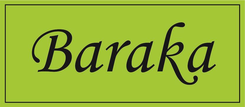 Baraka Device mark 3729841 Trademark