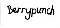 Berrypunch Device mark 4217193 Trademark