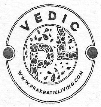 Vedic Pl Device mark 3234736 Trademark