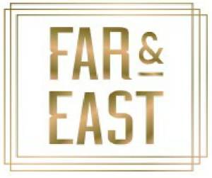 Far & East Device mark 4220076 Trademark
