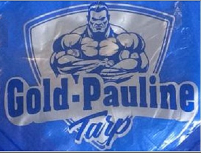 Gold Pauline Tarp Device mark 4224011 Trademark
