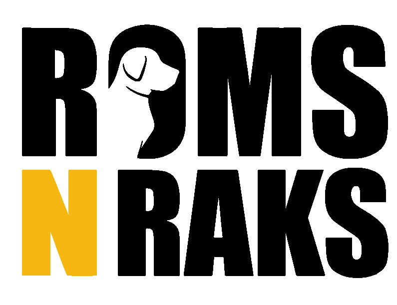 Roms N Raks Device mark 4224328 Trademark