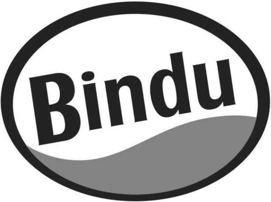 Bindu Device mark 4223980 Trademark