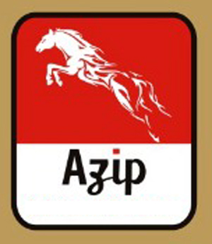 Azip Device mark 4230224 Trademark