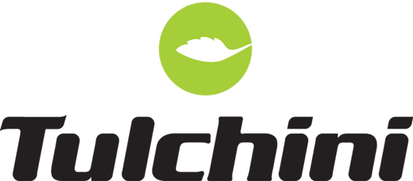 Tulchini Device mark 4228105 Trademark