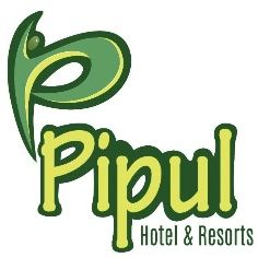 Pipul Device mark 4234146 Trademark