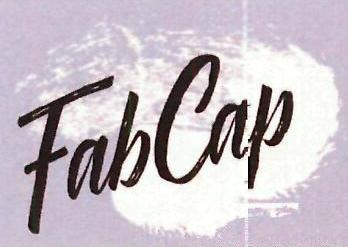 Fabcap Device mark 4231730 Trademark
