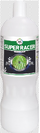 Super Racer Device mark 4232969 Trademark
