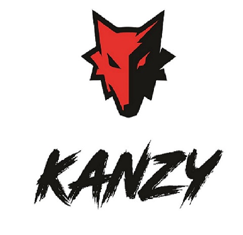 Kanzy Device mark 4245705 Trademark