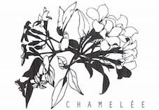 Chamelèe With Device Device mark 4246713 Trademark